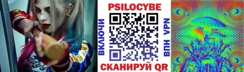Галлюциногенные грибы Magic Shrooms  Андреаполь 